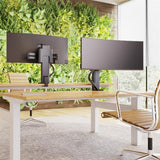 Ergotron TRACE™ Monitor Mount