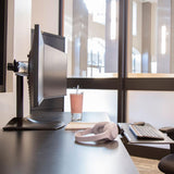 DS100 Dual-Monitor Desk Stand, Horizontal